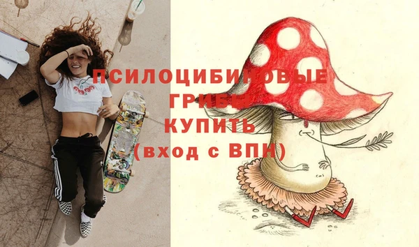 амфетамин Горнозаводск