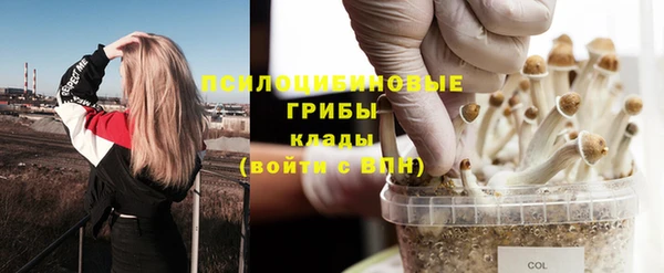 каннабис Вяземский