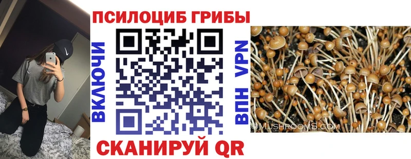 Галлюциногенные грибы мицелий Купить Отрадный